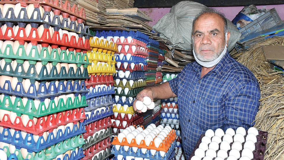 egg market prices